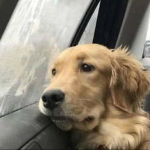 Meet your Posher, Maya-marie